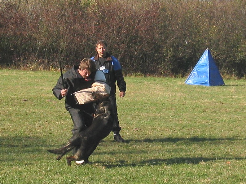 závod Loukovský pohár 2012