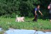 Summer_Obedience_Camp_2010_761